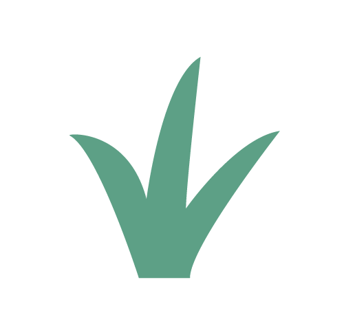 grass icon