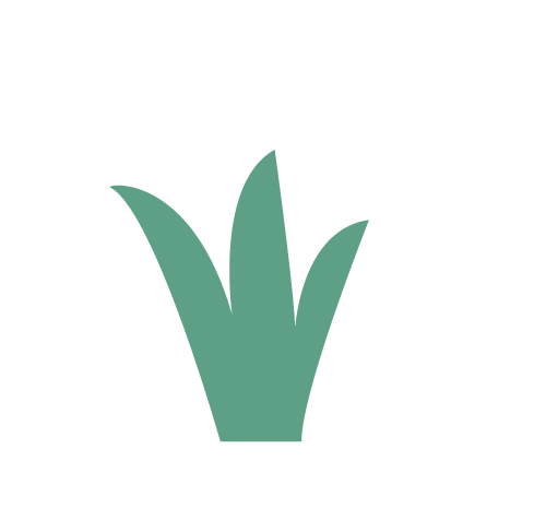grass icon